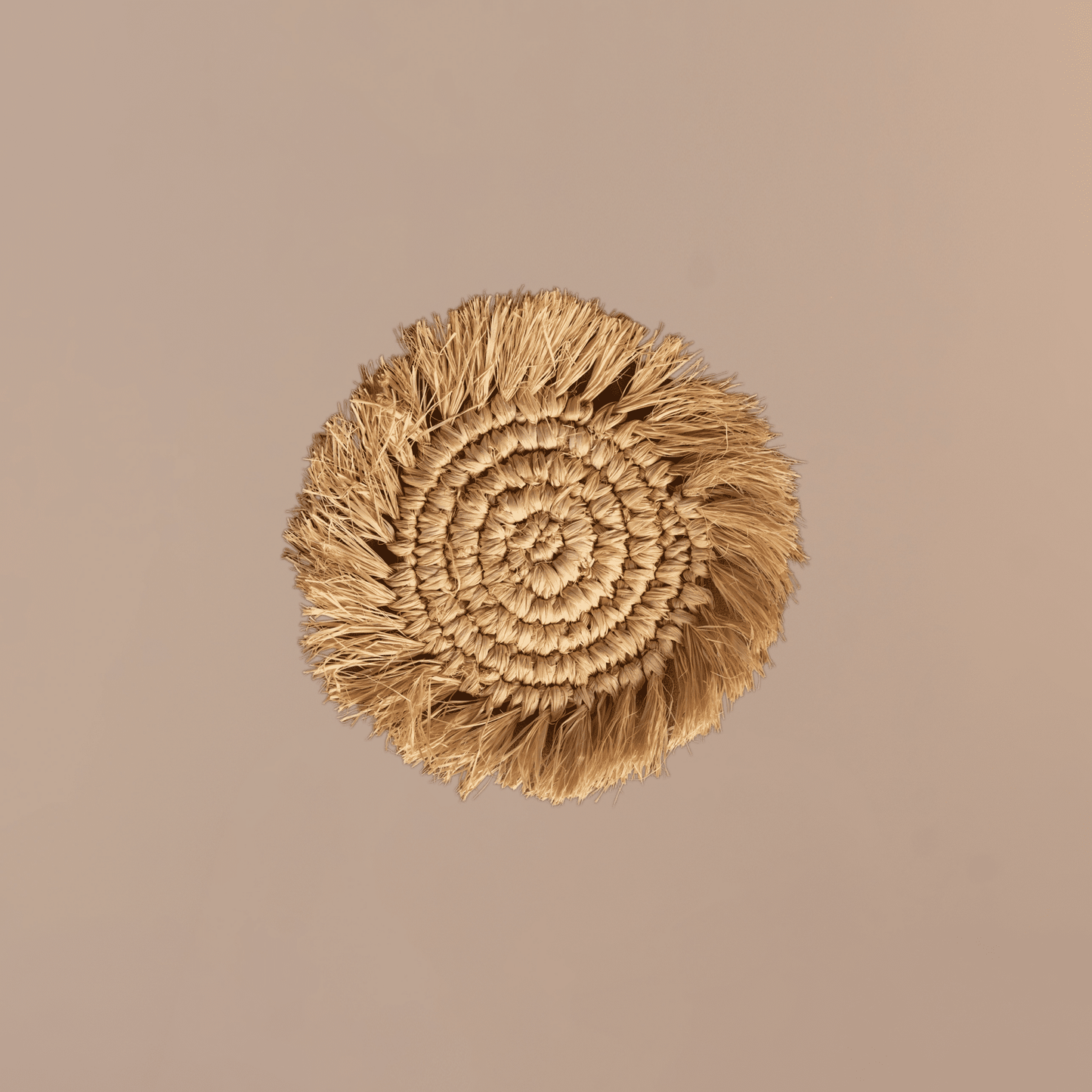 Braided Jute Coaster - Meiala Official