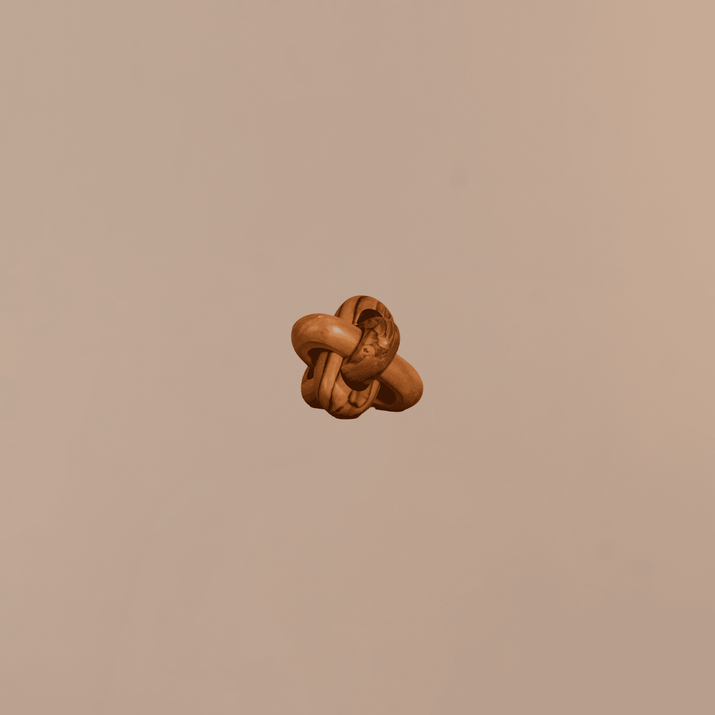 Wooden Entangled Decor - Meiala Official